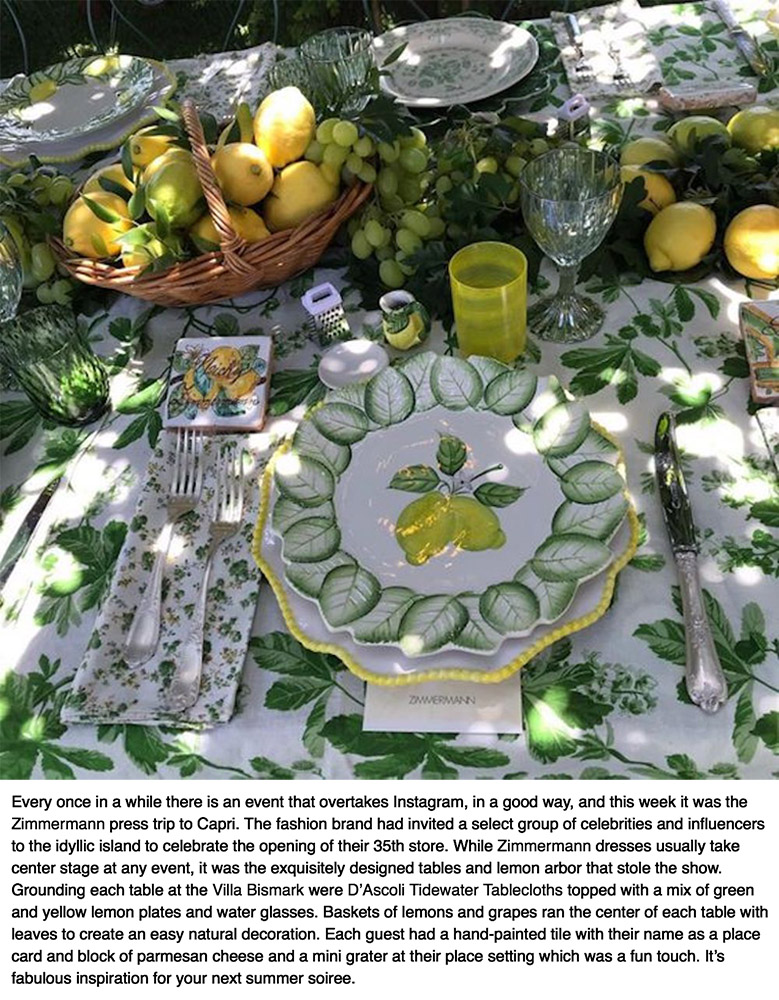 Chic in Capri — Habitually Chic, Sugokuii Events